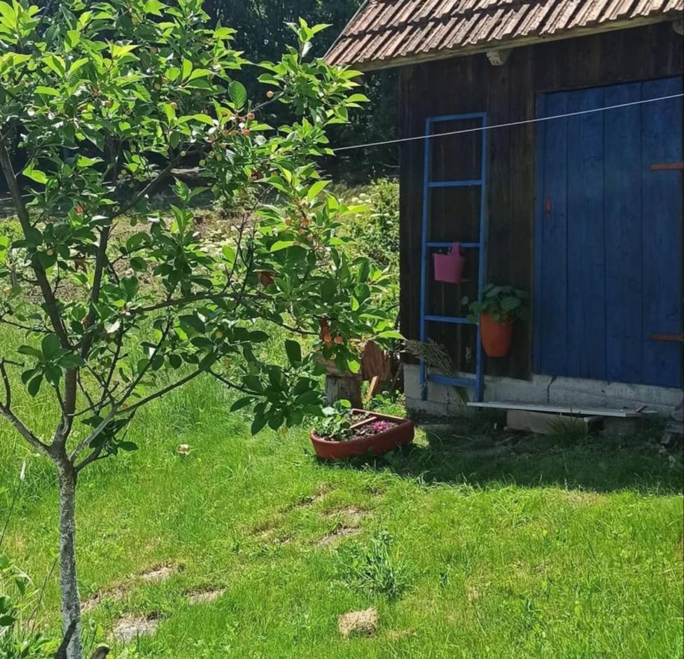 Kuca Despot Apartment Kremna Bagian luar foto